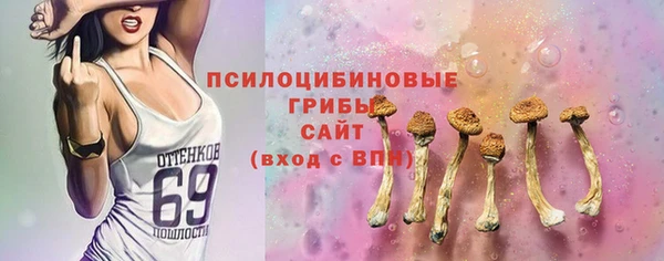mdpv Няндома