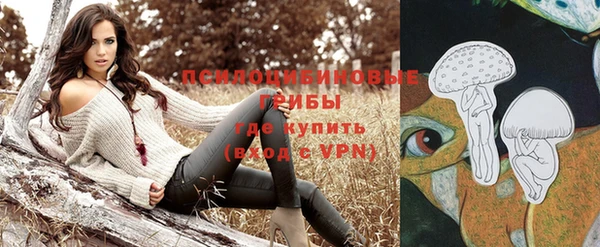 mdpv Няндома
