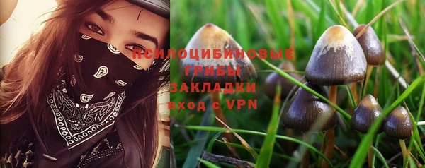 mdpv Няндома