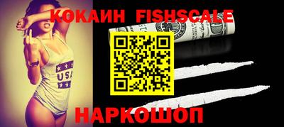 шишки Кандалакша