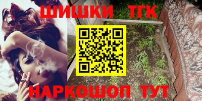 мдпв Камышлов