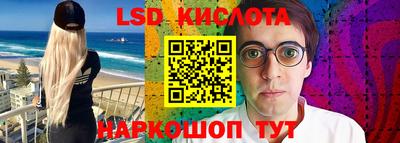 мдпв Камышлов