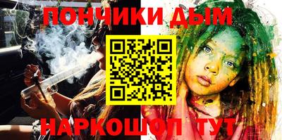 шишки Кандалакша