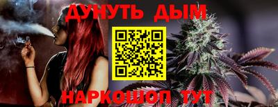 шишки Кандалакша