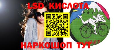 шишки Кандалакша