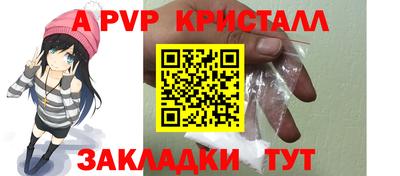 шишки Кандалакша