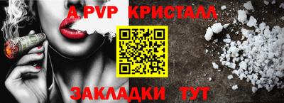 шишки Кандалакша