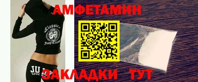 шишки Кандалакша