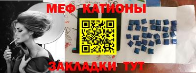 мдпв Камышлов
