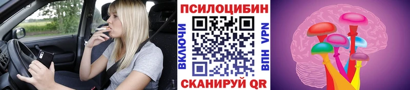 Галлюциногенные грибы Psilocybe  Саров 