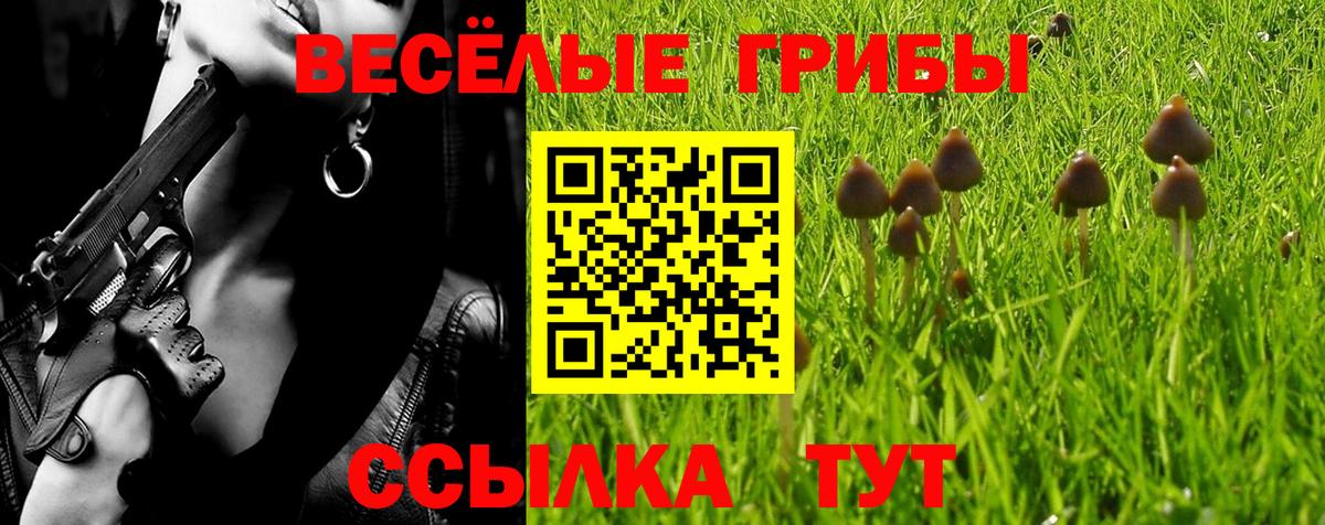 Галлюциногенные грибы Psilocybine cubensis Саров