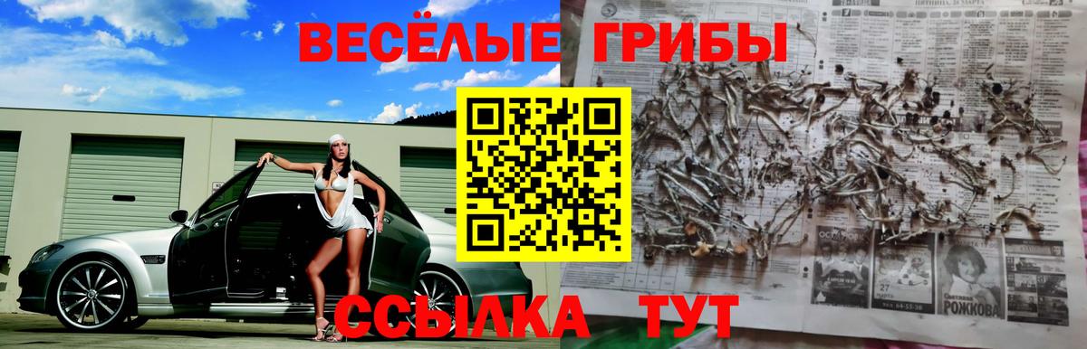 Псилоцибиновые грибы мицелий Саров