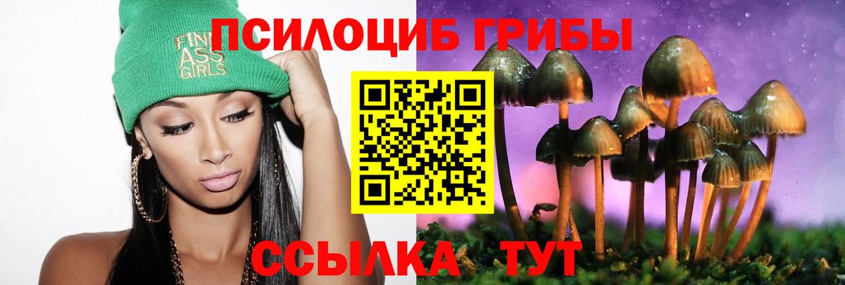 Псилоцибиновые грибы Psilocybine cubensis  Саров 
